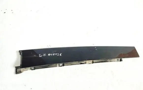 Other rear door trim element