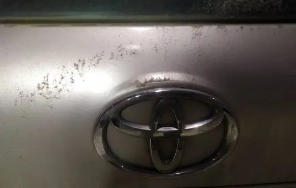Toyota Corolla E120 E130 Manufacturer badge logo/emblem 