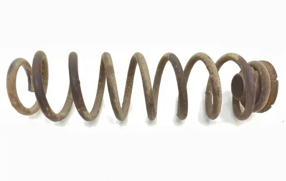 Rear coil spring