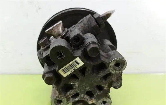 Chrysler Voyager Power steering pump 20602164F