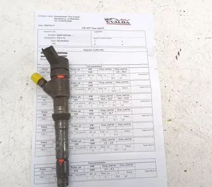 Fiat Ducato Fuel injector 0445110273