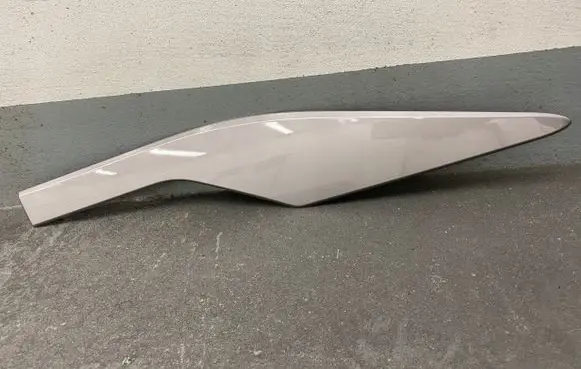 Toyota C-HR I Rear door trim (molding) PW15610002