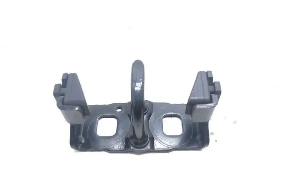 Renault Megane III Loading door lock loop/hook striker 905702697R
