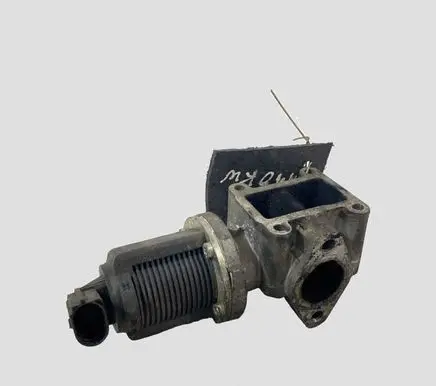 Opel Vectra C EGR valve 55215031