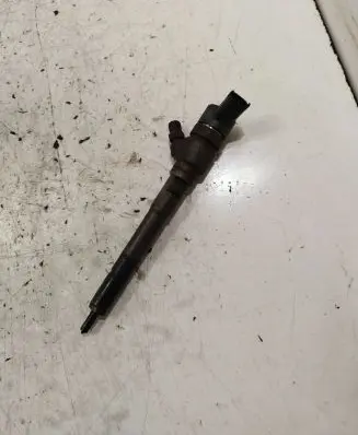 Hyundai Santa Fe Fuel injector 0445110254 3380027800