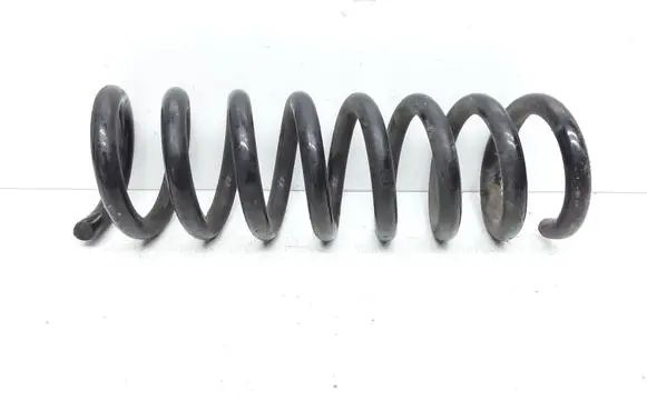 Rear coil spring