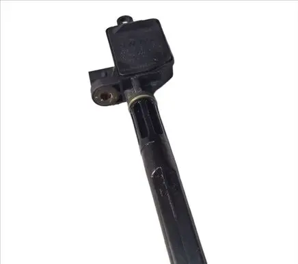 Skoda Roomster (5J) Oil level sensor 00813401