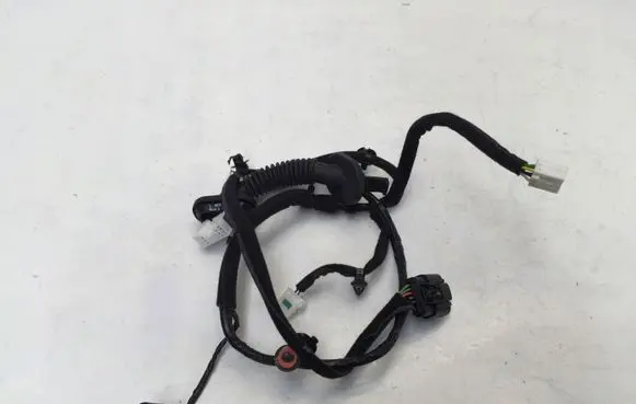 Hyundai i20 (BC3 BI3) Rear door wiring loom 91620Q0070