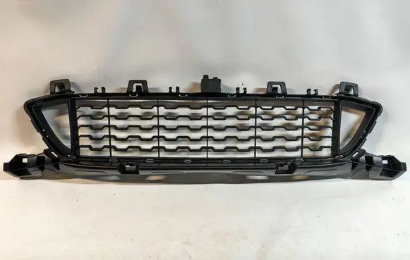 BMW X1 F48 F49 Front grill 8059888