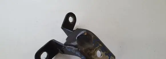 KIA Sportage Rear door lower hinge