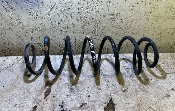 Rear coil spring