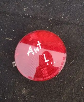 Opel Antara Rear tail light reflector 96673825