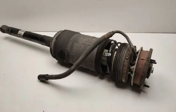 Mercedes-Benz CL C216 Rear shock absorber/damper A2213208613