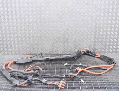 Lexus RX 450H Other wiring loom