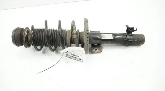 Skoda Fabia Mk3 (NJ) Front shock absorber/damper 6R0413031BF