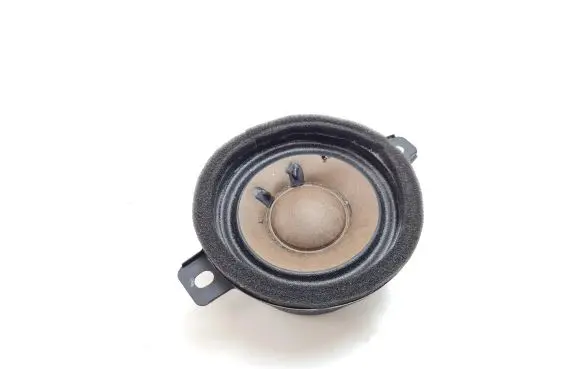 Opel Insignia B Panel speaker 13240967 654558089