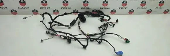 Tesla Model 3 Other wiring loom 306796300B