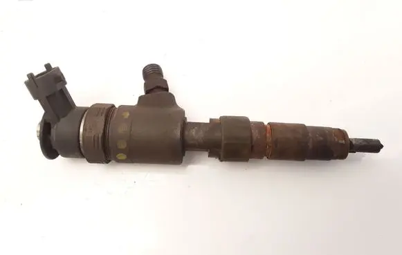 Citroen C3 Fuel injector 0445110340