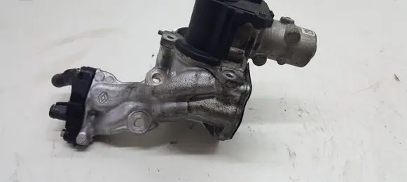 Nissan Qashqai EGR valve D501916000