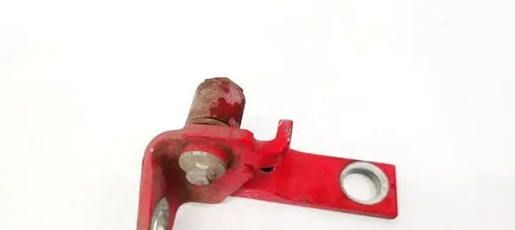 Rear door lower hinge