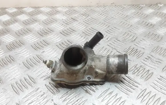Thermostat/thermostat housing
