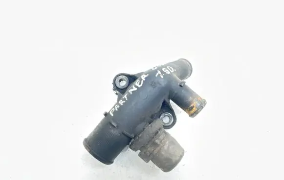 Thermostat/thermostat housing