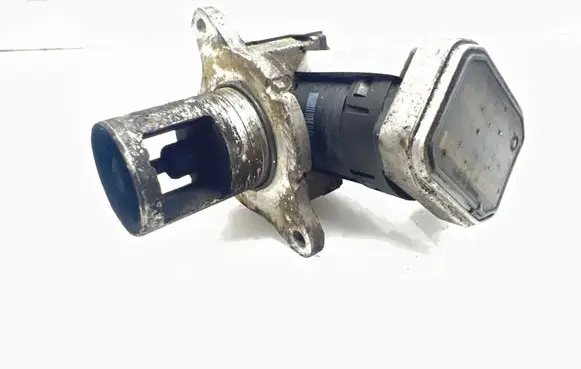 EGR valve