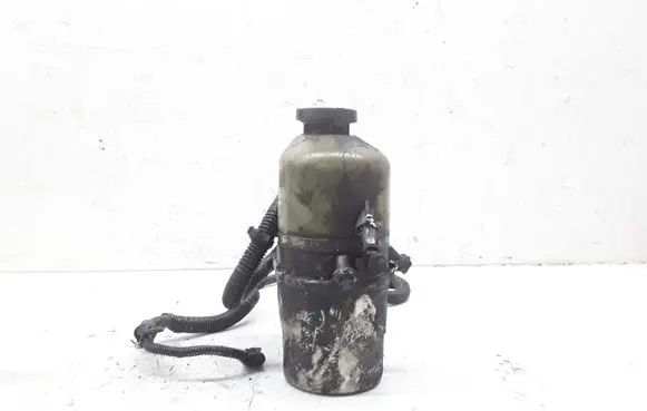 Electric power steering pump