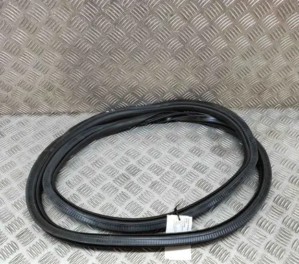 Mercedes-Benz EQE v295 Rubber seal rear door A2956970400