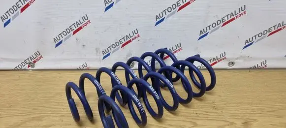 Rear coil spring