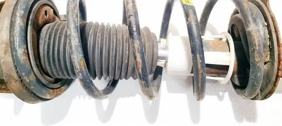 Chevrolet Lacetti Rear coil spring 