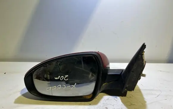 Front door electric wing mirror