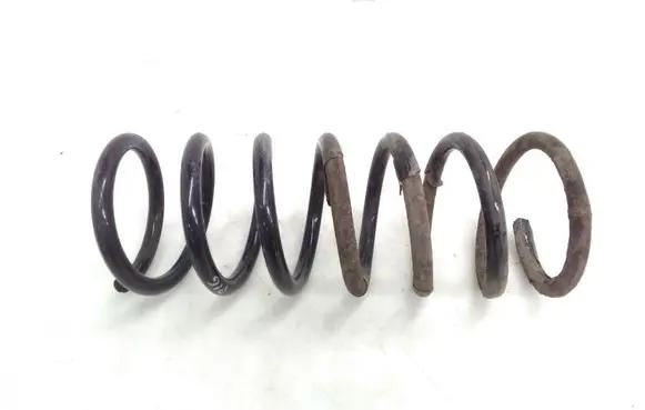 Rear coil spring
