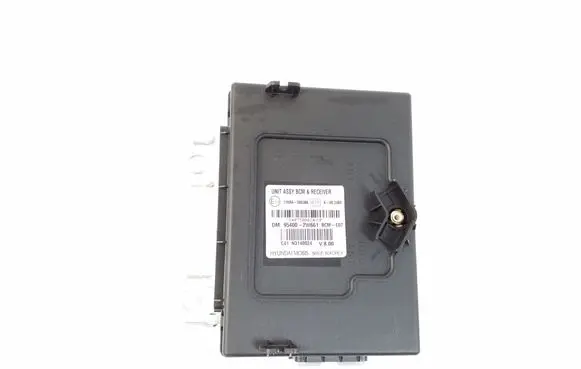 Hyundai Santa Fe Other control units/modules 954002W661