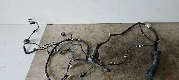 BMW X3 G01 Front door wiring loom E69380A 5A48FB3 BM3UB17111