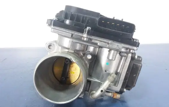 Throttle body valve