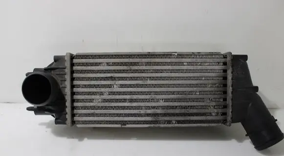Peugeot 307 Intercooler radiator 