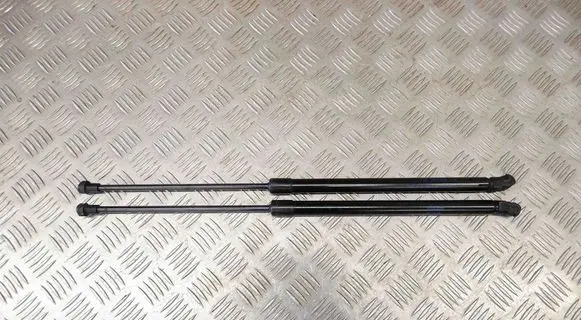 Tailgate/trunk strut/damper