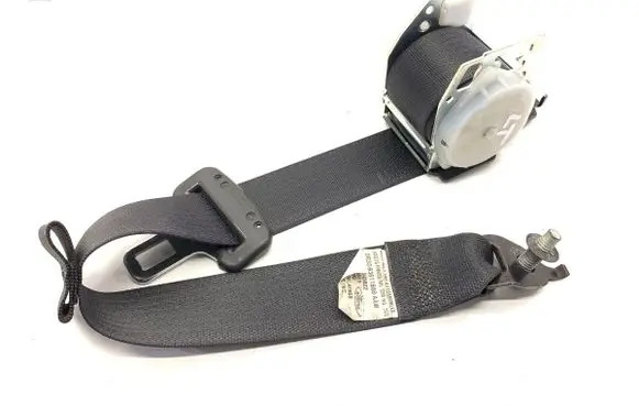 Ford Mustang V Rear seatbelt 2028493-AD