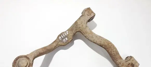 Front lower control arm/wishbone