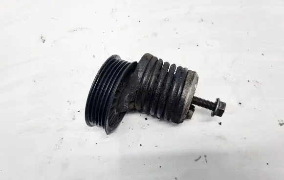 Volkswagen PASSAT B5 Generator/alternator belt tensioner