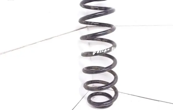 Volkswagen PASSAT B6 Rear coil spring