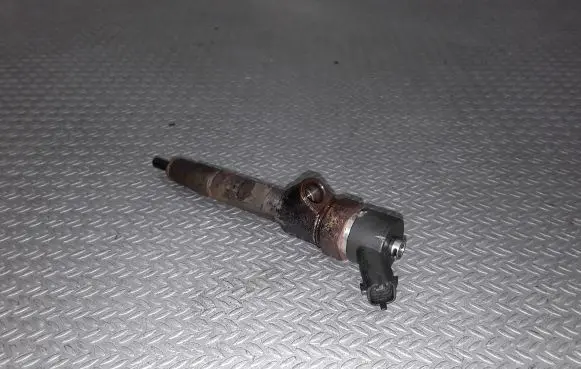 Renault Laguna II Fuel injector 0445110021