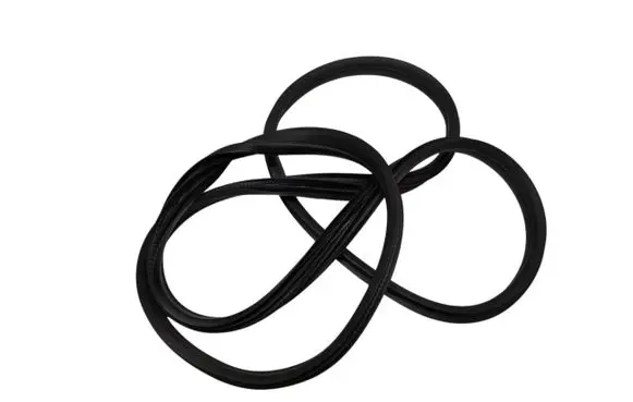 Ford Focus C-MAX Front door rubber seal 