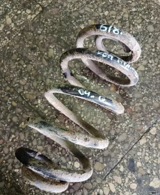 Rear coil spring