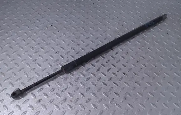 Tailgate/trunk strut/damper