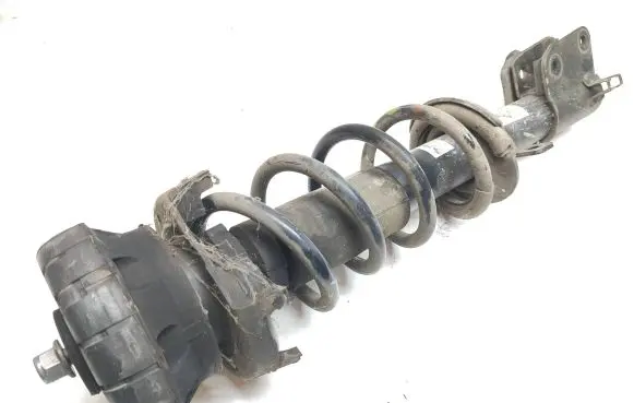 Renault Trafic III (X82) Front shock absorber/damper 824904010620 316591 36J16A
