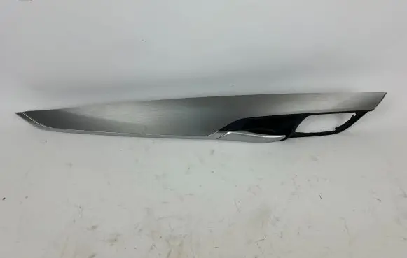 Other rear door trim element
