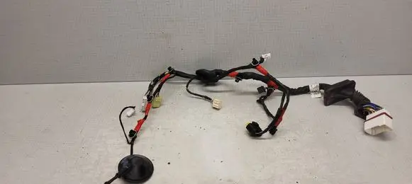 Hyundai Sonata Front door wiring loom 916013K120 0810301106