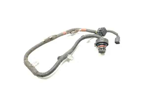 Gearbox/transmission wiring loom